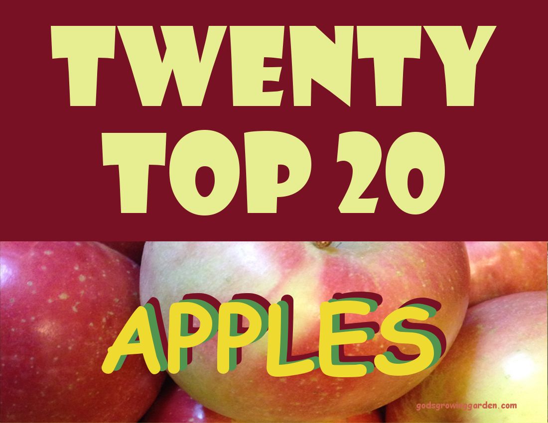 TwentyTop20APPLES