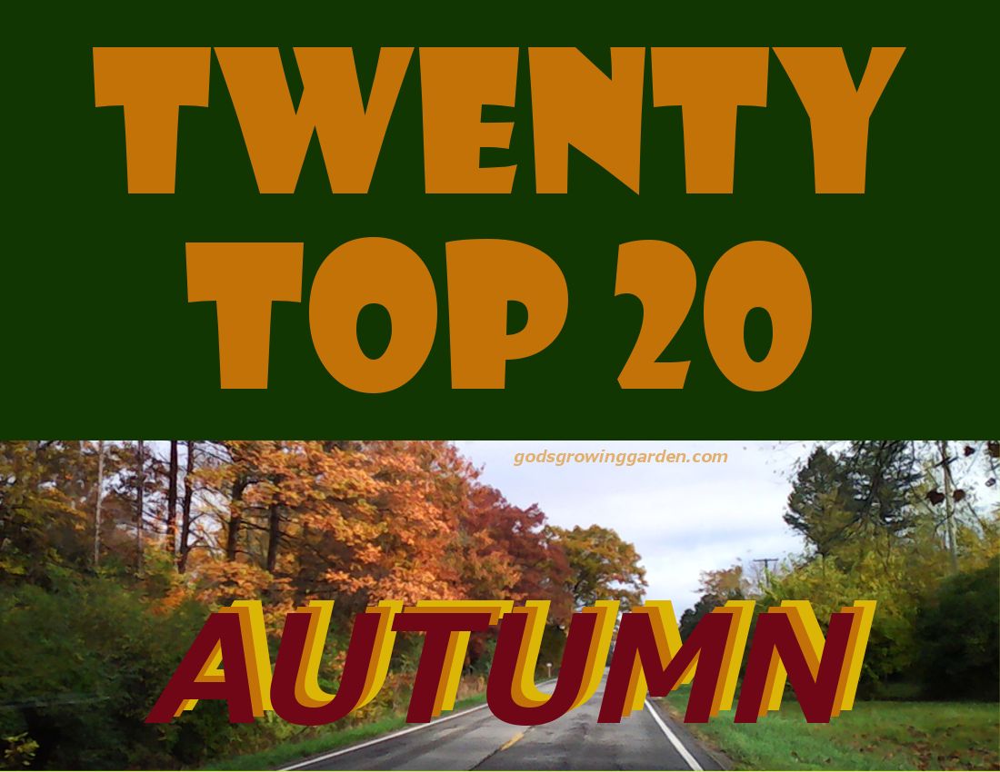 TwentyTop20FALL