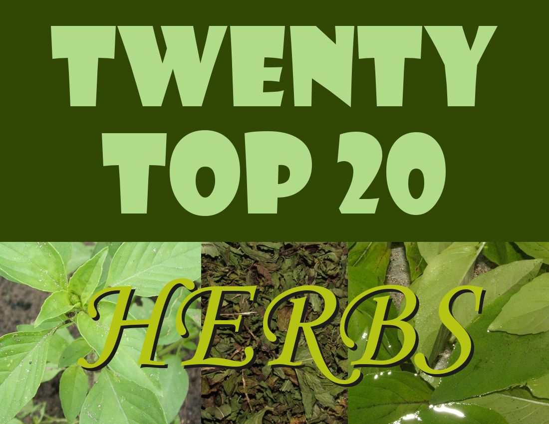 TwentyTop20HERBS