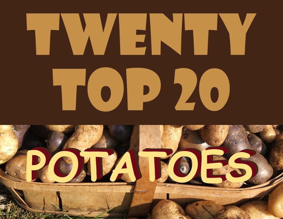 TwentyTop20POTATOES