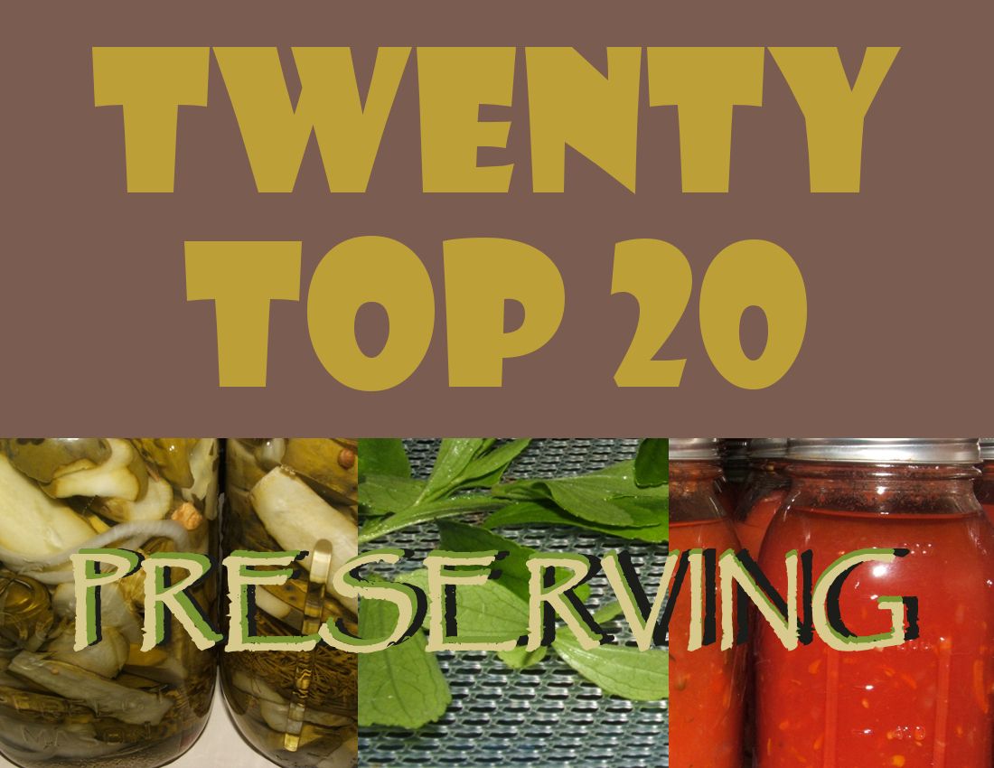 TwentyTop20PRESERVE