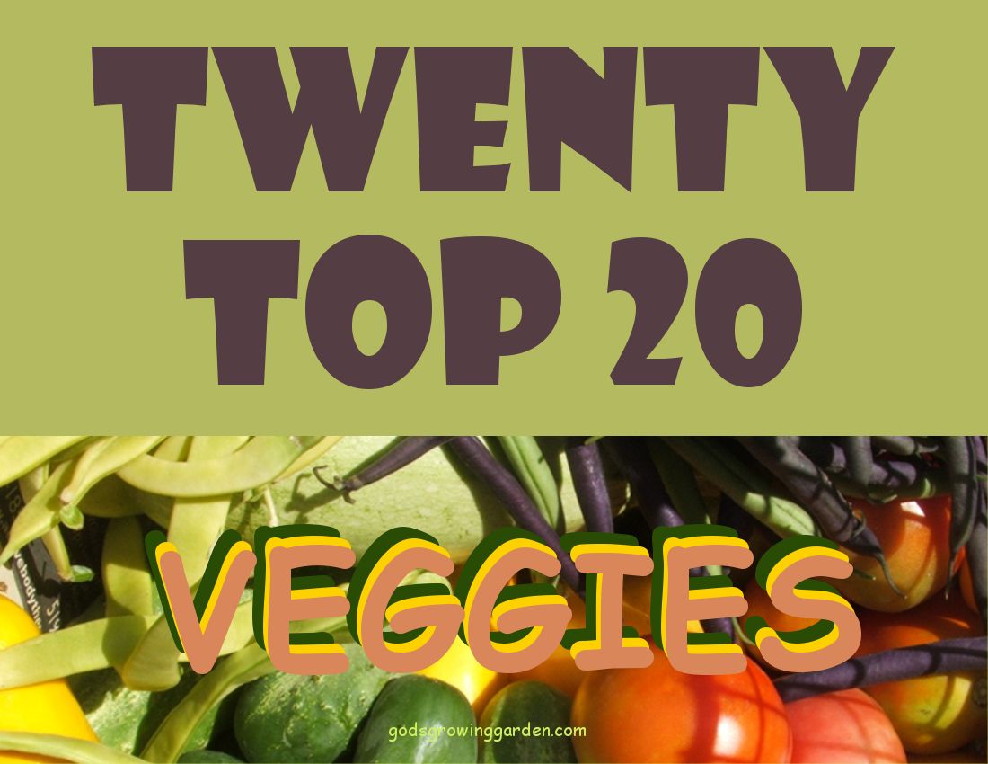 TwentyTop20VEGGIES