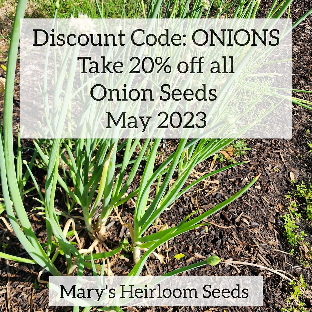 onion discount code