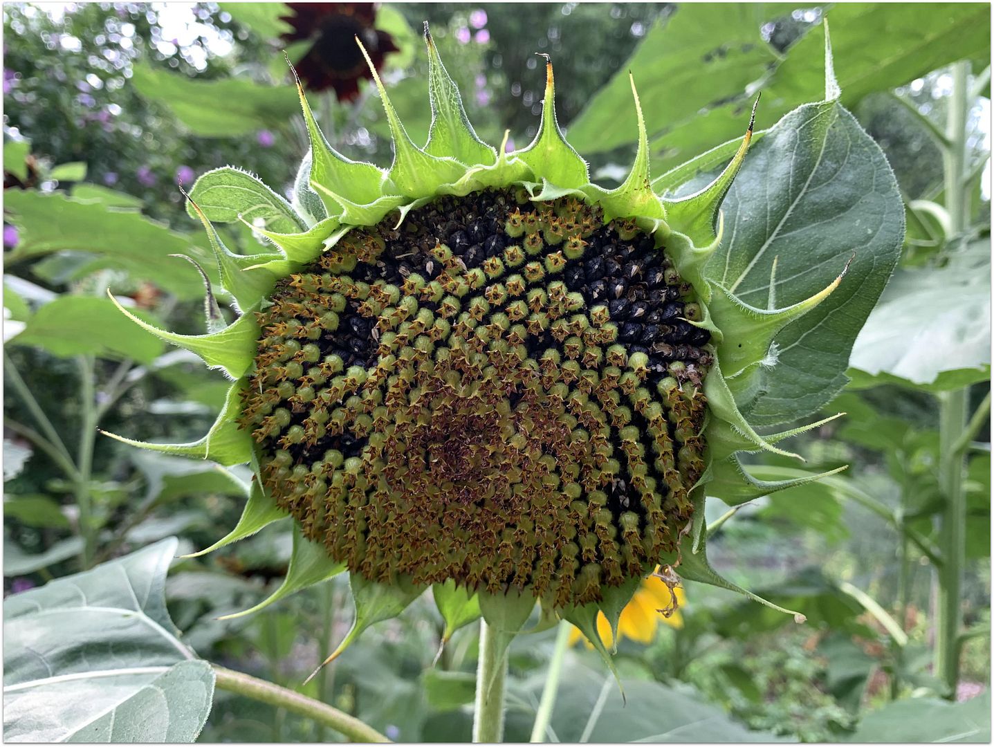 unnamed_-_2022-08-05T232937.539