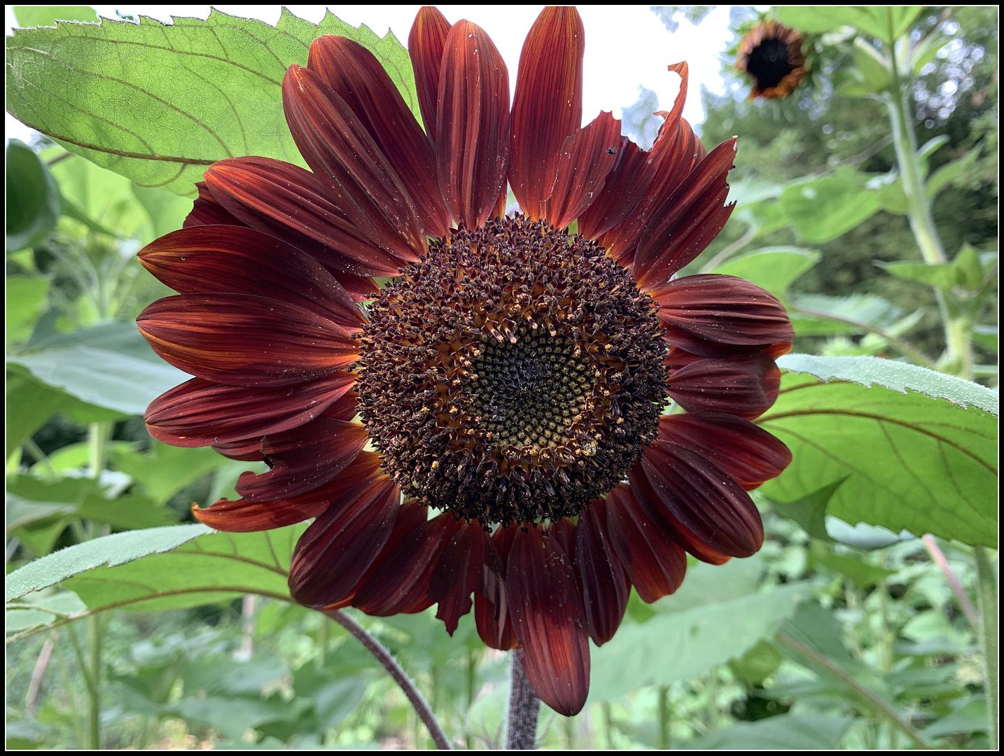 unnamed_-_2022-08-06T224128.801