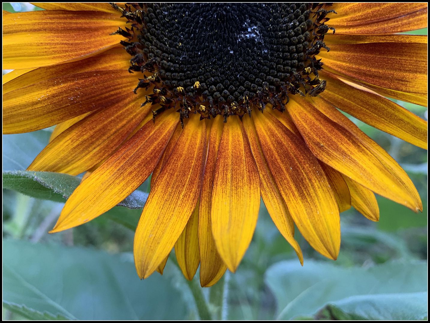 unnamed_-_2022-08-06T224512.455