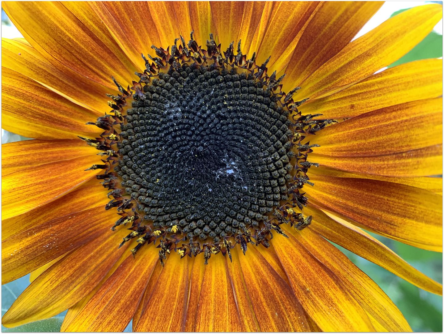 unnamed_-_2022-08-06T224522.099