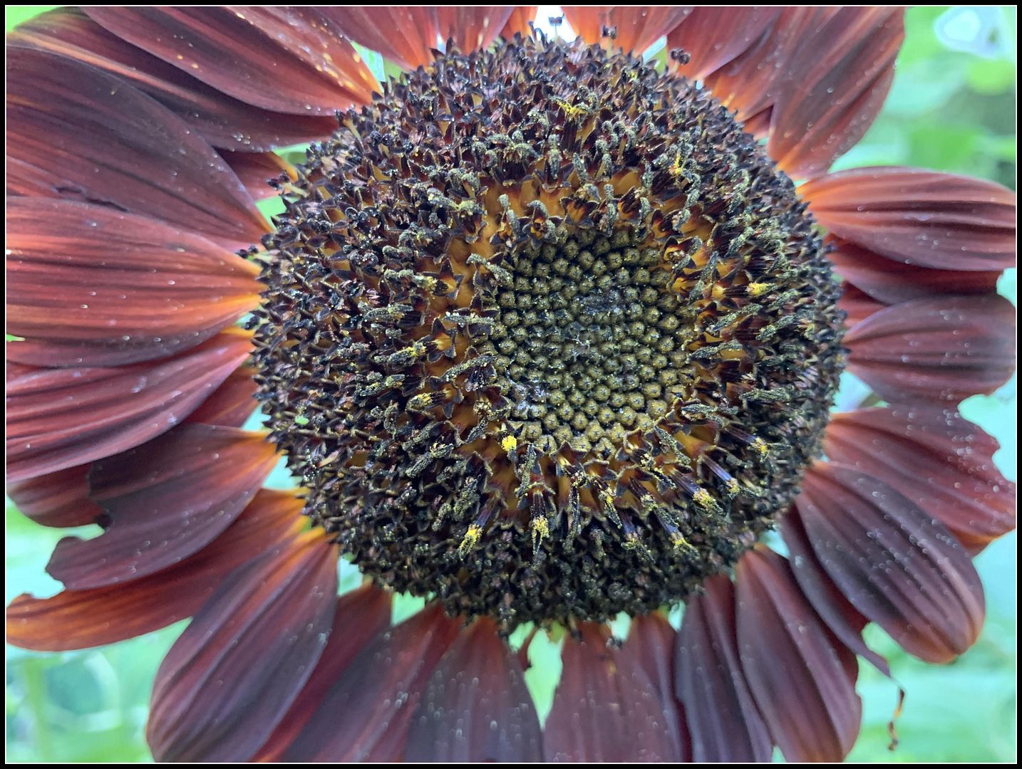 unnamed_-_2022-08-06T224623.660