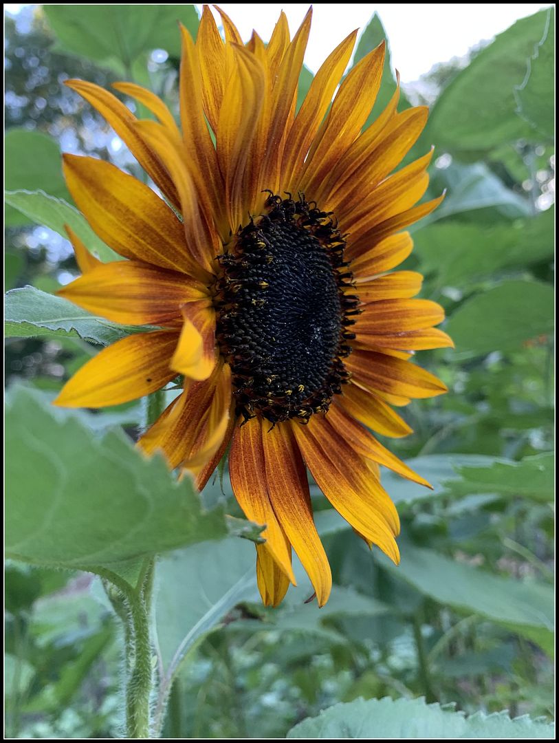 unnamed_-_2022-08-06T225334.775