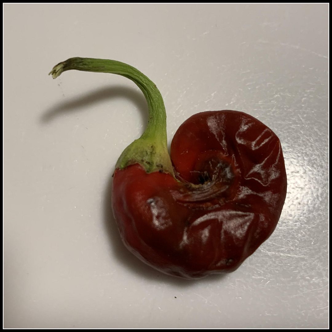 unnamed_-_2022-08-21T155948.840