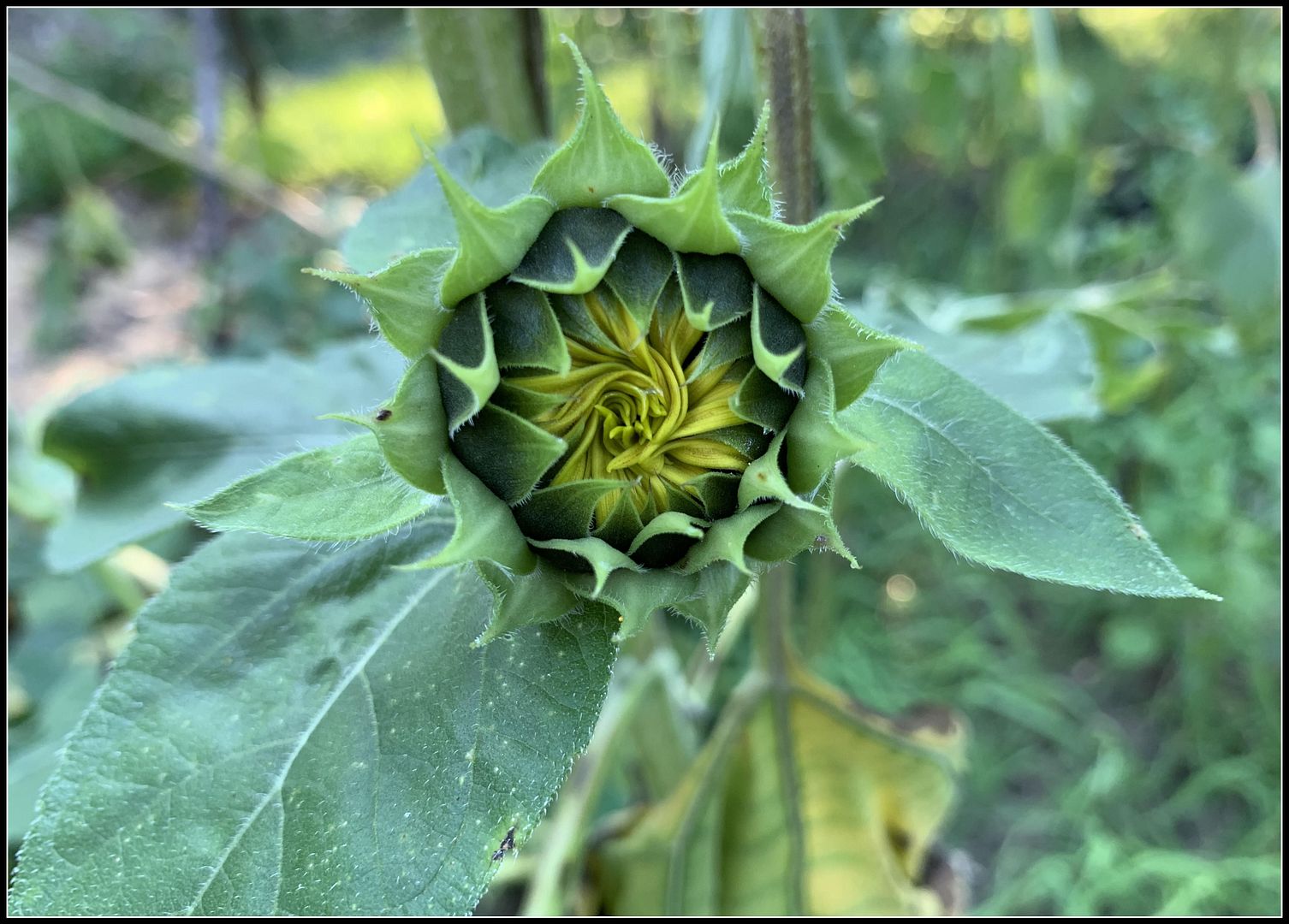 unnamed_-_2022-09-05T232206.535