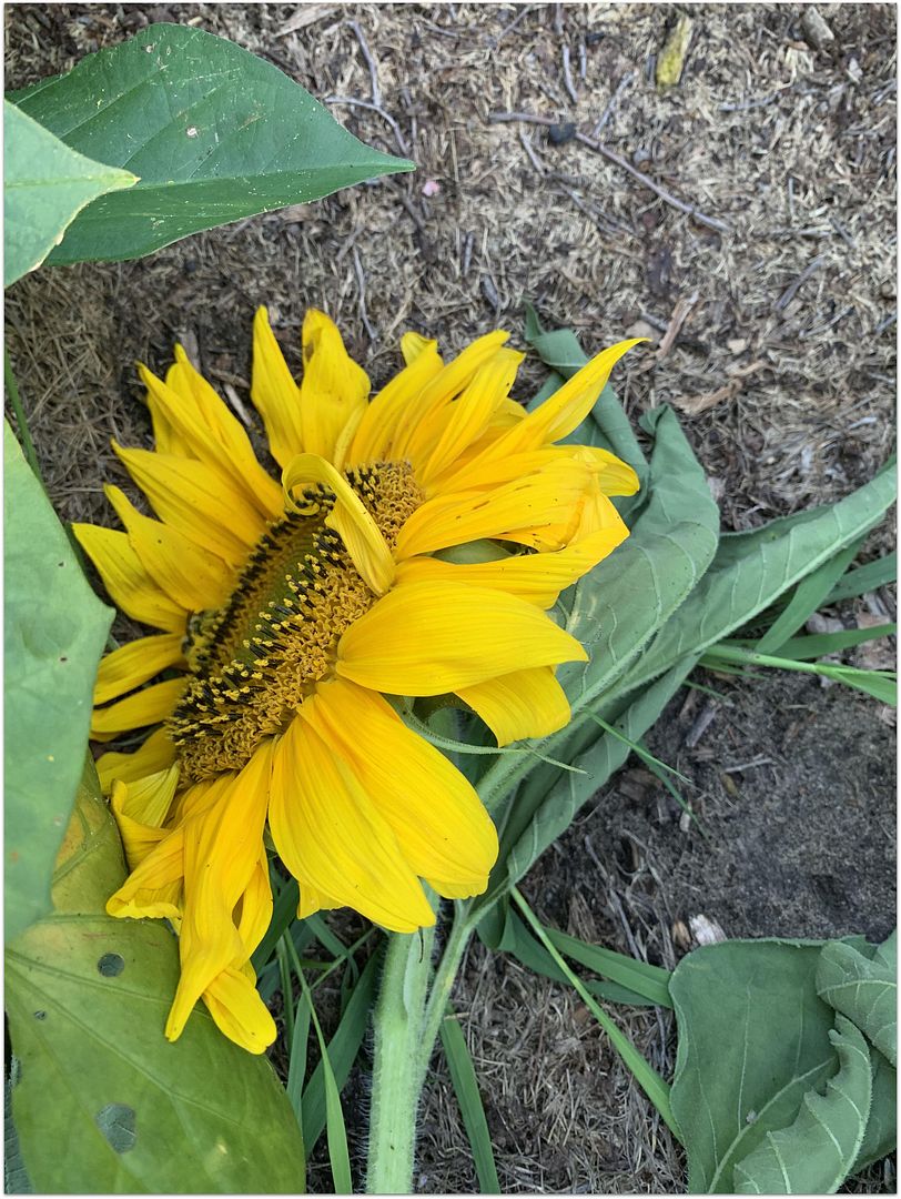 unnamed_-_2022-09-05T232235.686