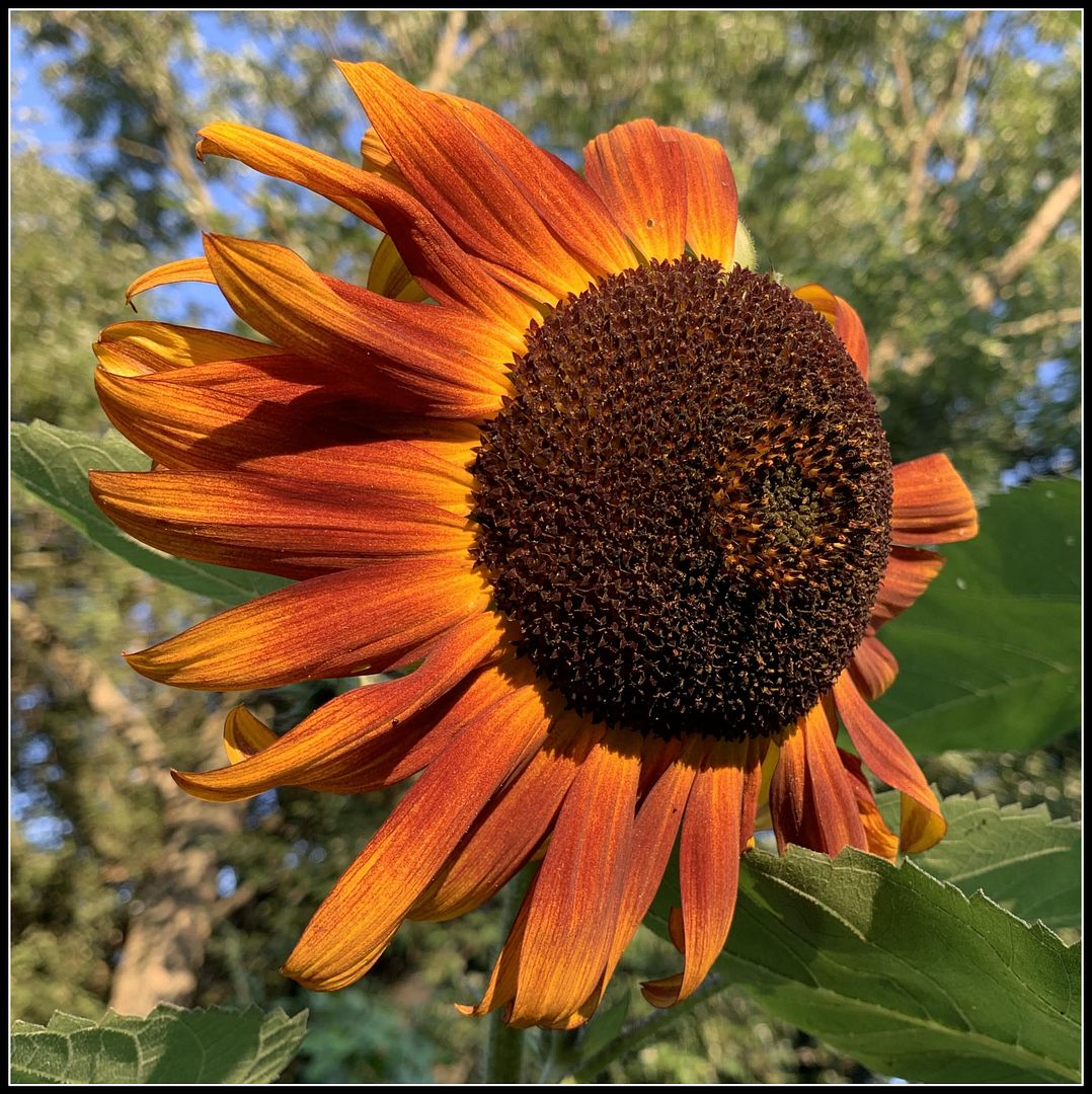 unnamed_-_2022-09-05T232358.585