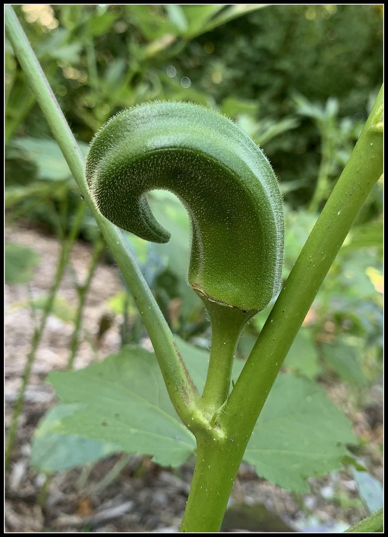 unnamed_-_2022-09-05T232410.620