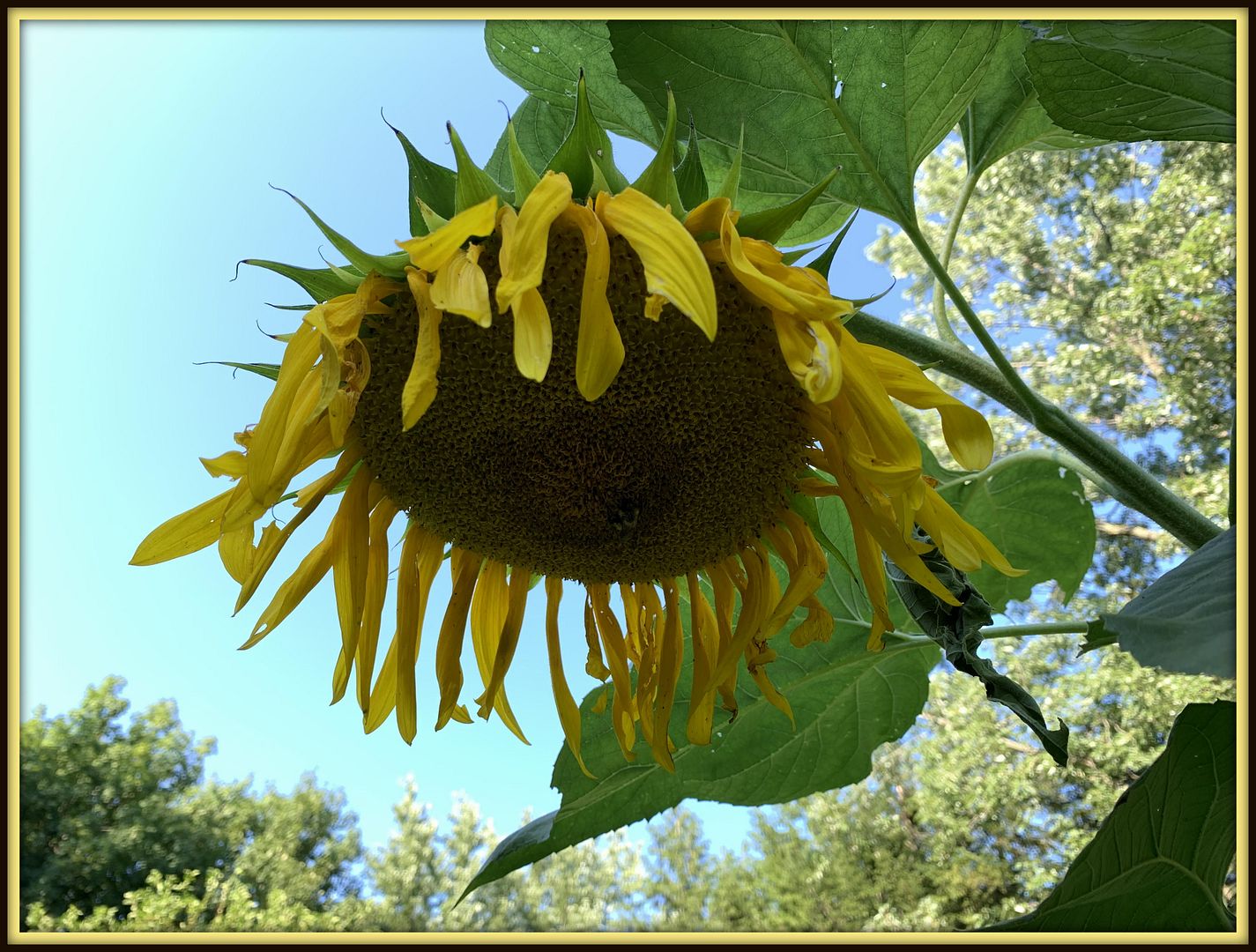 unnamed_-_2022-09-06T152126.578