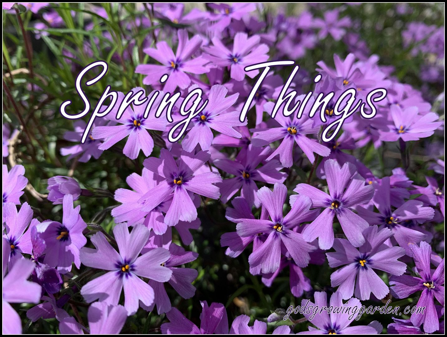 unnamed - 2023-05-17T132137.476