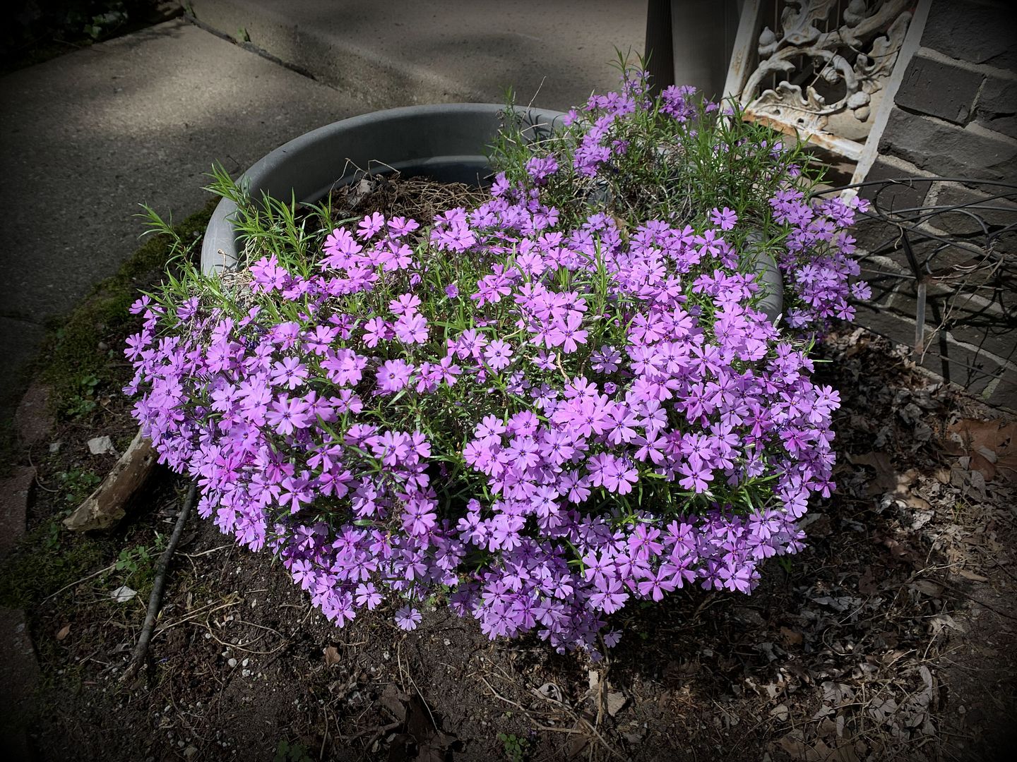 unnamed - 2023-05-17T155025.691