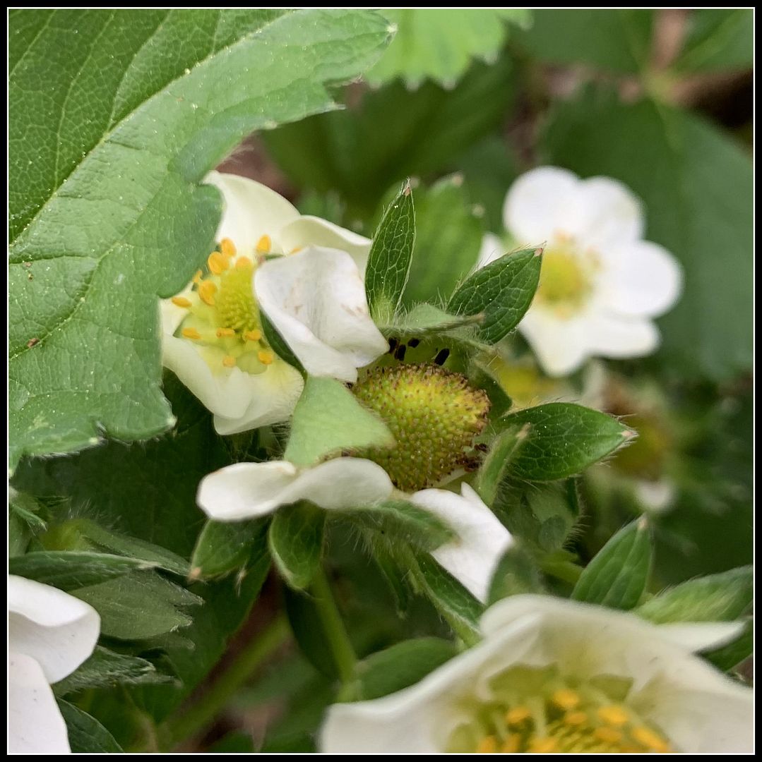 unnamed - 2023-05-17T155106.002