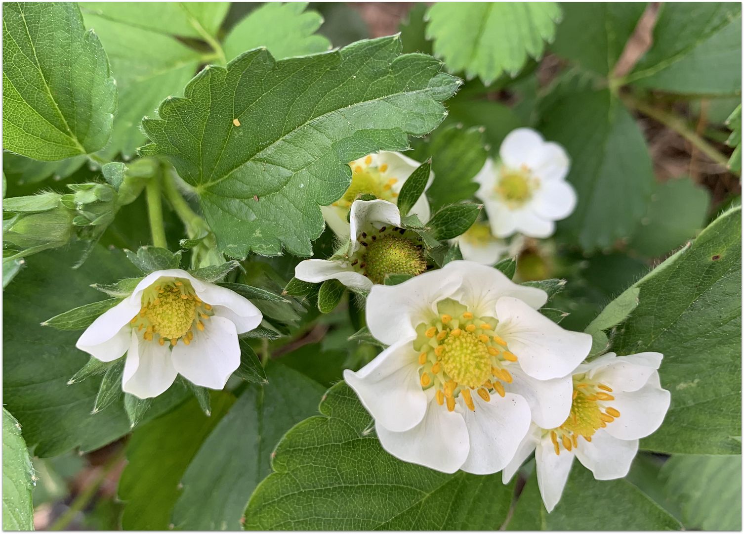 unnamed - 2023-05-17T155133.657