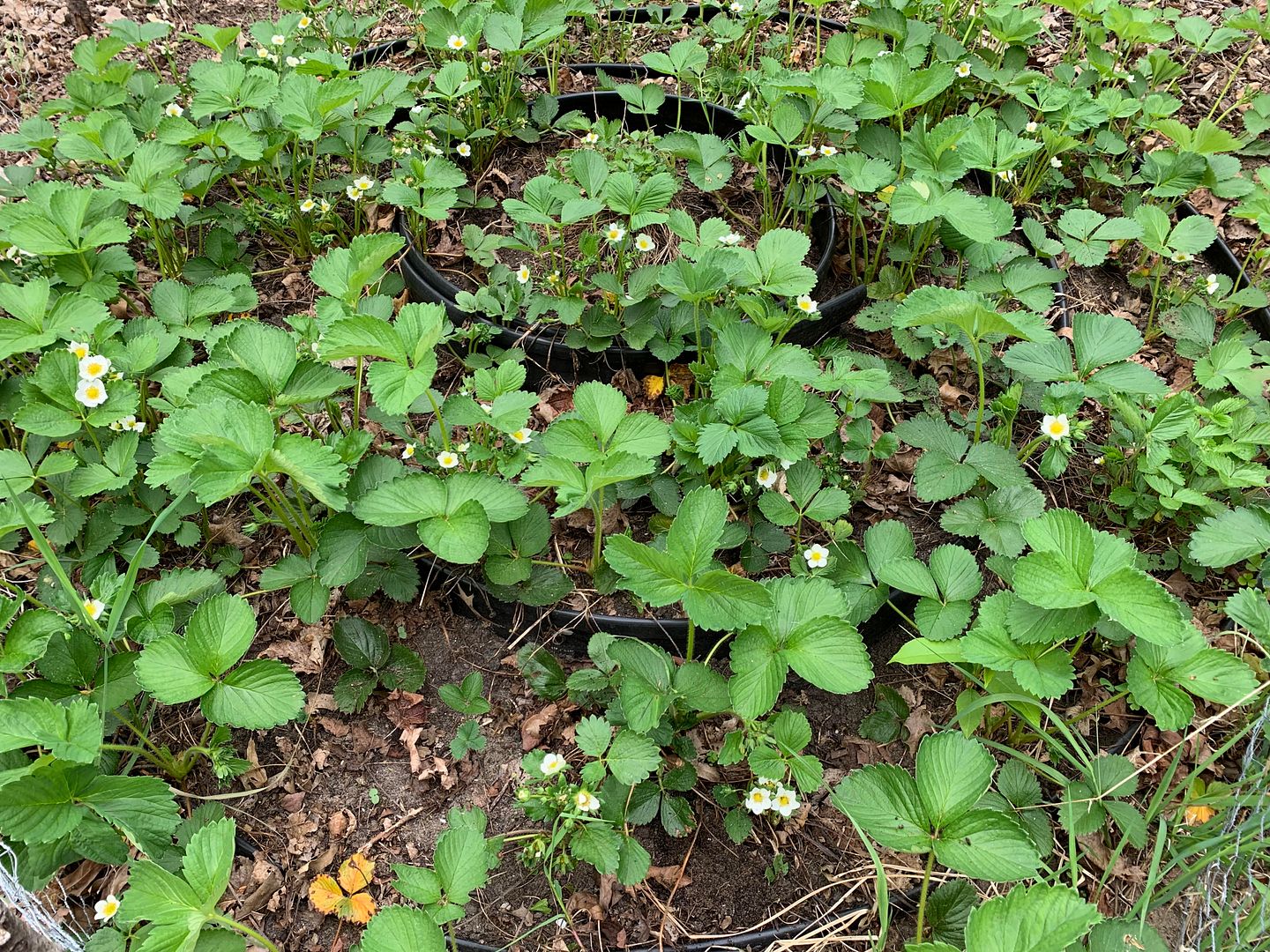 unnamed - 2023-05-17T155243.223