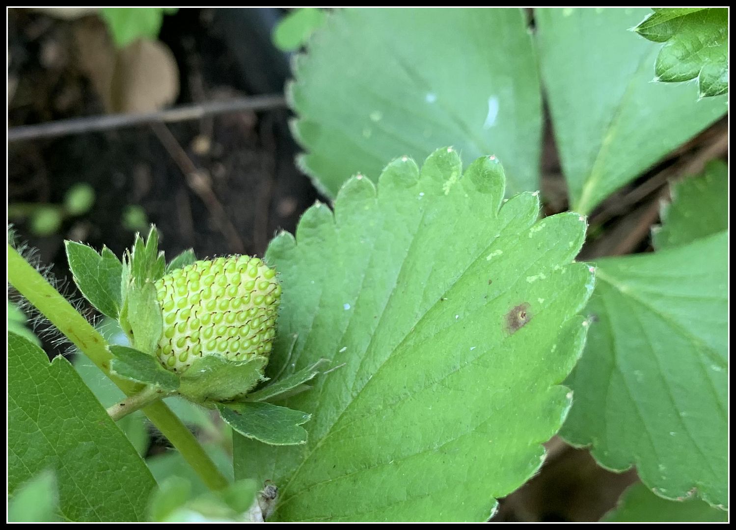 unnamed - 2023-05-31T172138.042