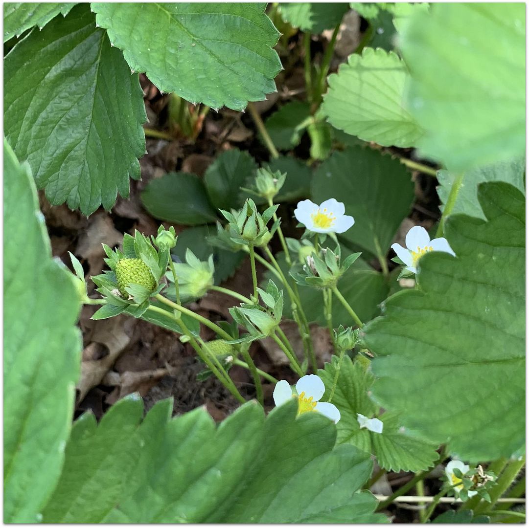 unnamed - 2023-05-31T172252.137