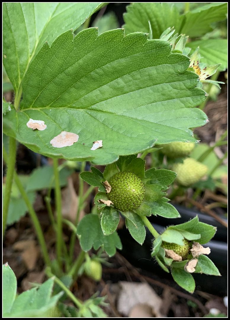 unnamed - 2023-05-31T172435.219