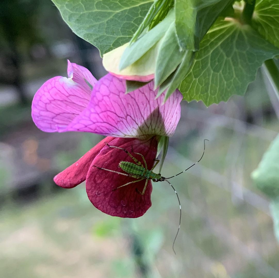 unnamed - 2023-06-12T174755.875