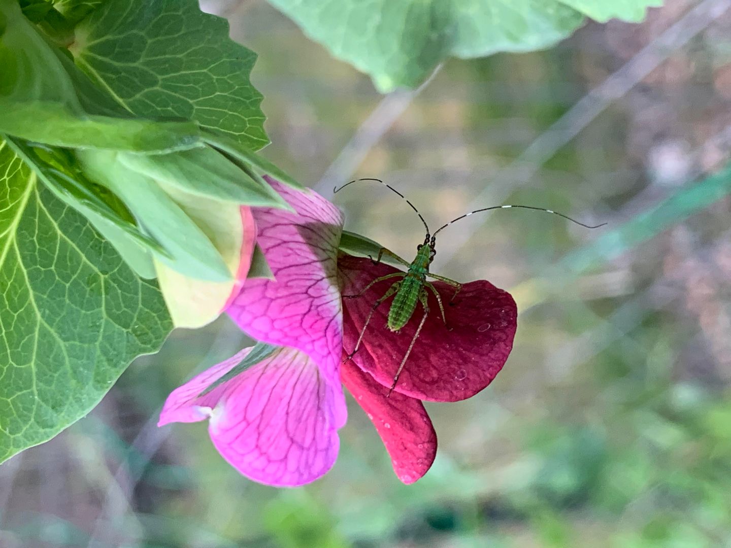 unnamed - 2023-06-12T174828.861