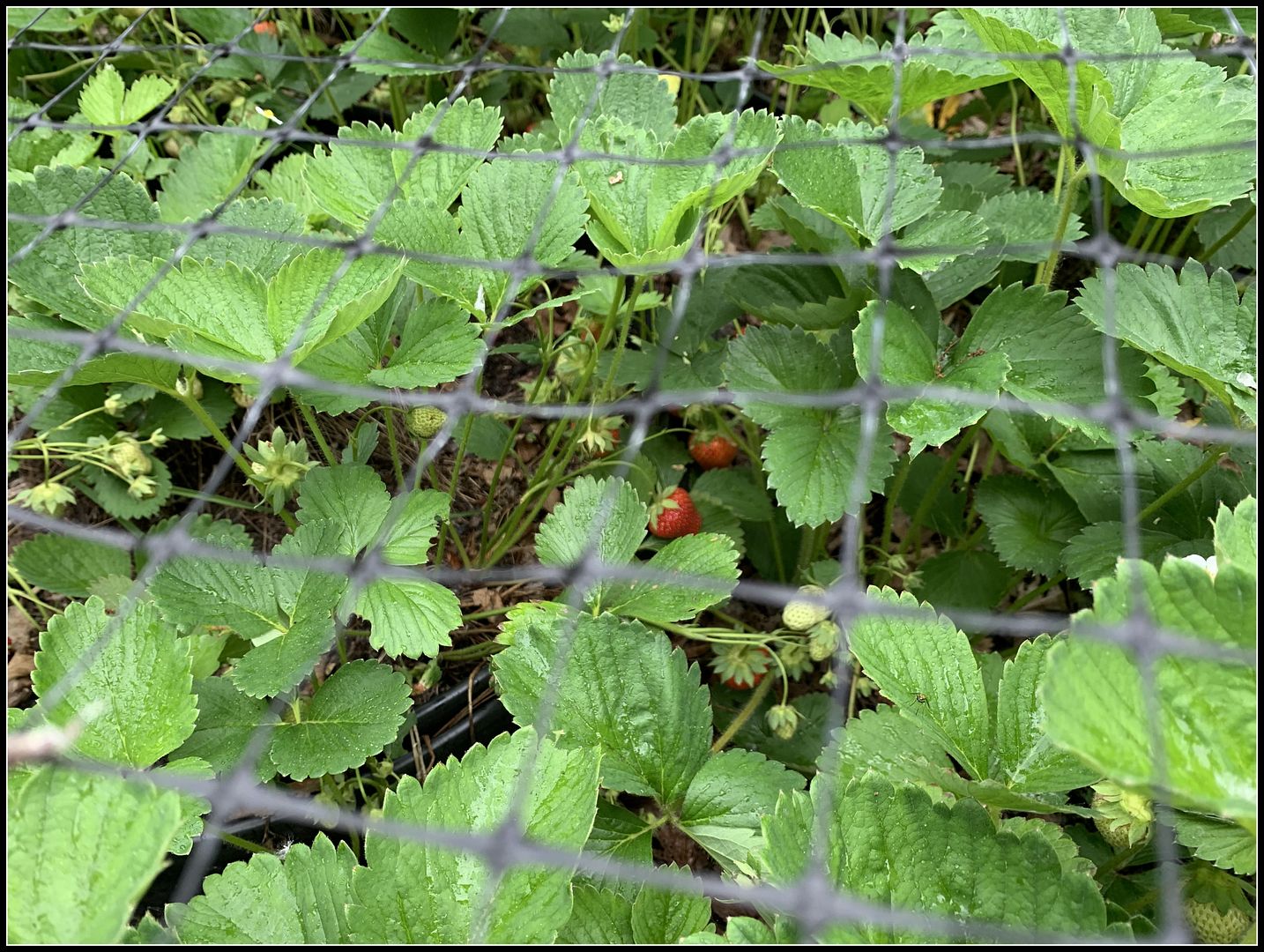 unnamed - 2023-06-13T000910.273