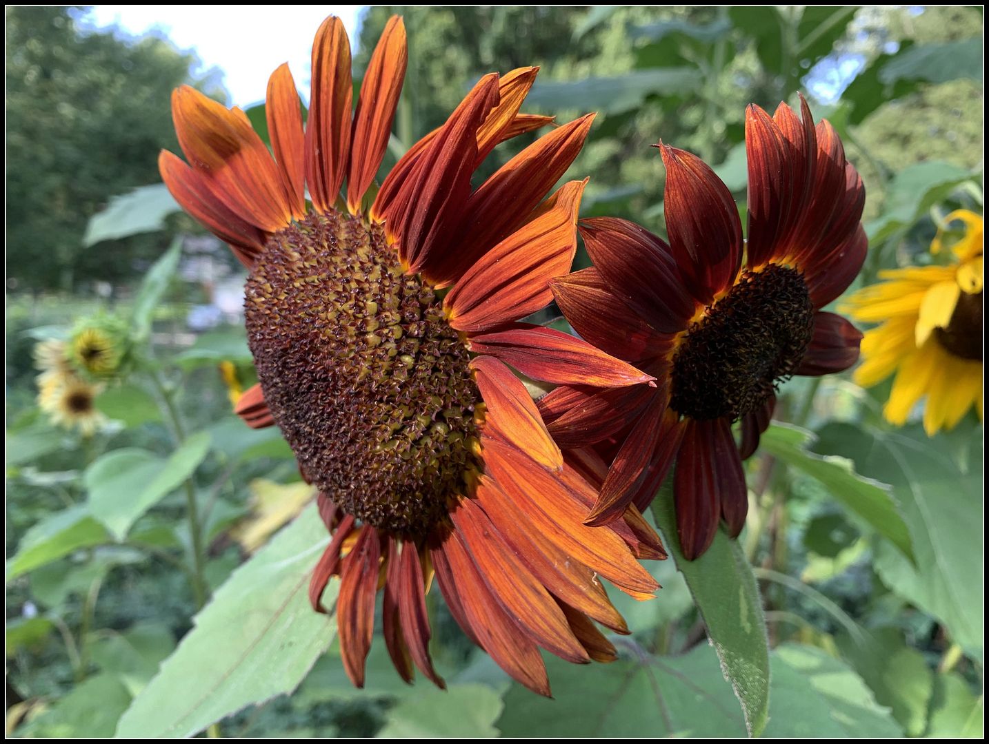 unnamed - 2023-09-18T171814.900