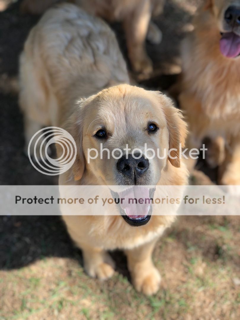 Photobucket - Video and Image Hosting