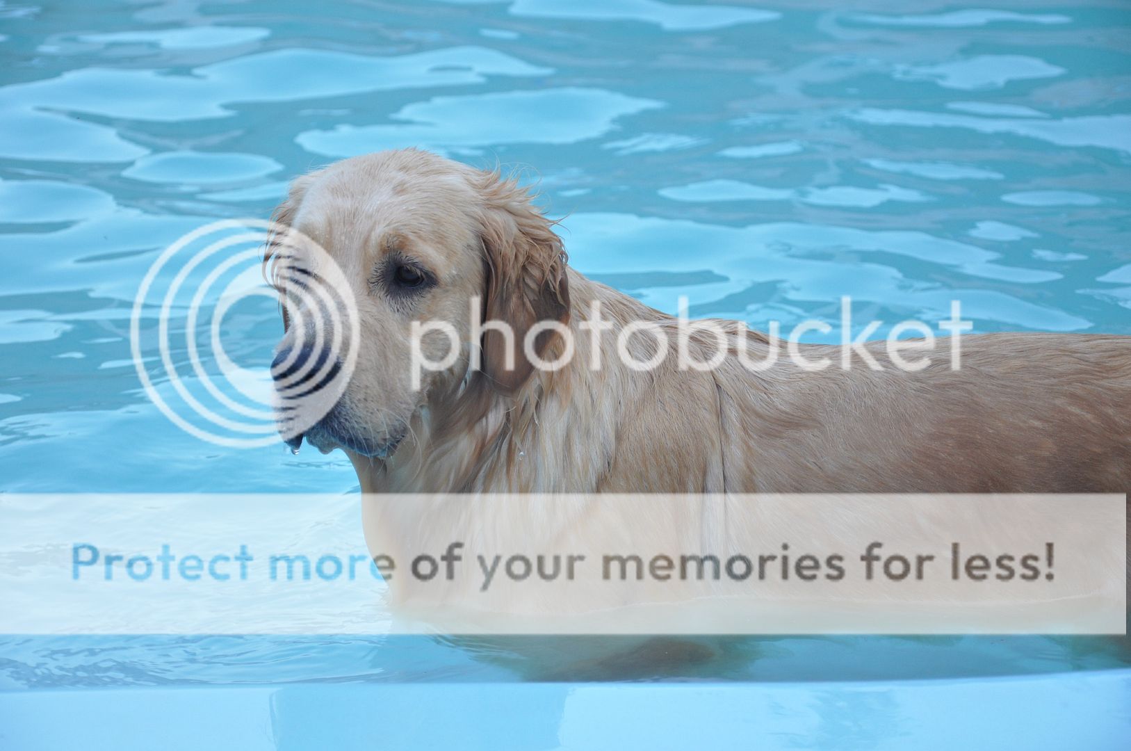 Photobucket - Video and Image Hosting