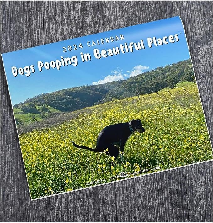 Calendar titled "Dogs Pooping in Beautiful Places"