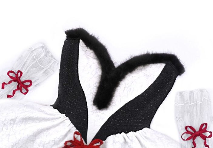 O1CN010vHVEz1aO9LDI1LfZ_!!1798613319