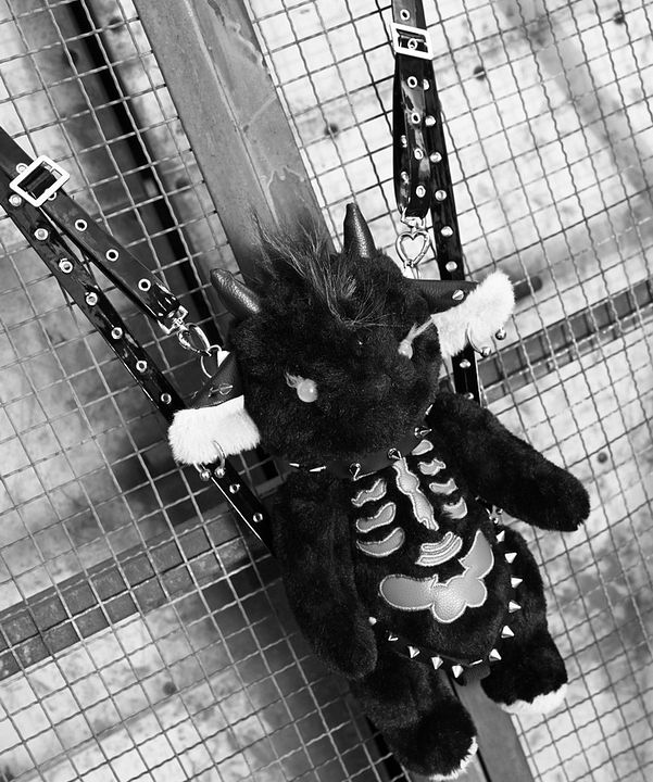 O1CN0177ka0g1aO9LtImDge_!!1798613319