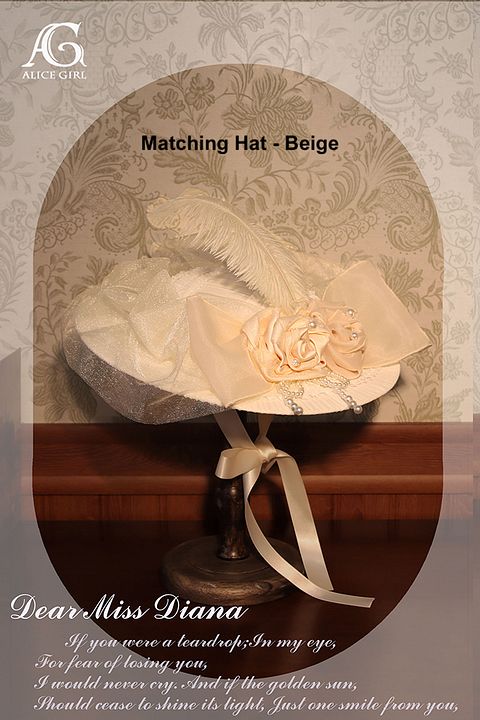 O1CN01X5sdsr28AaZpbWiLj_!!1790657892