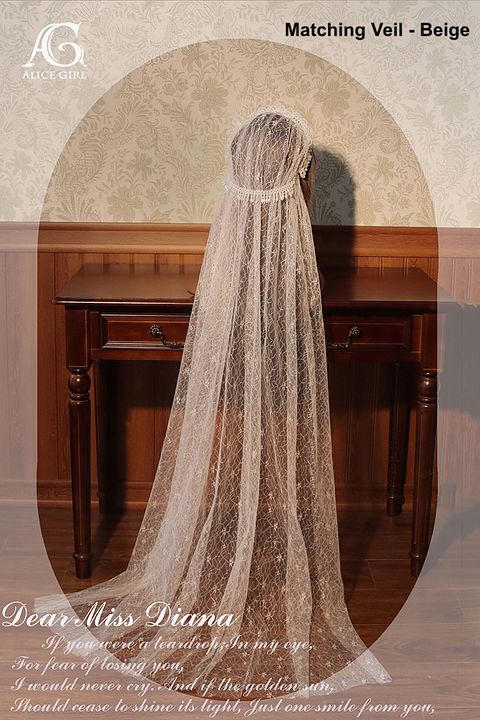 O1CN01jNfmhm28Aaa05hyVh_!!1790657892