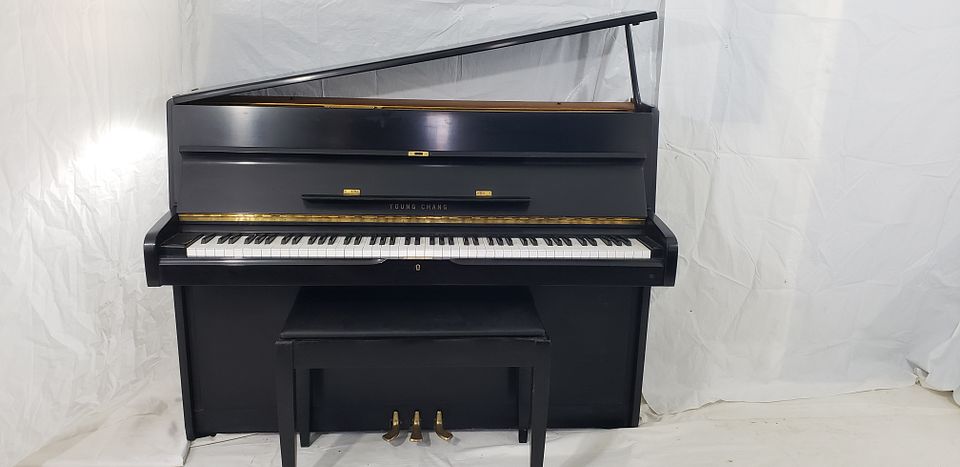 20221115_154518_psZT8Xn4jbrLMPWTvvabJn