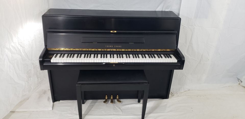 20221115_154621_9x7awRg9BAWreD5nsALQd7