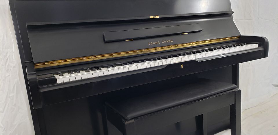 20221115_154723_xqp4gkSJmqjPPgy7bXJHPz