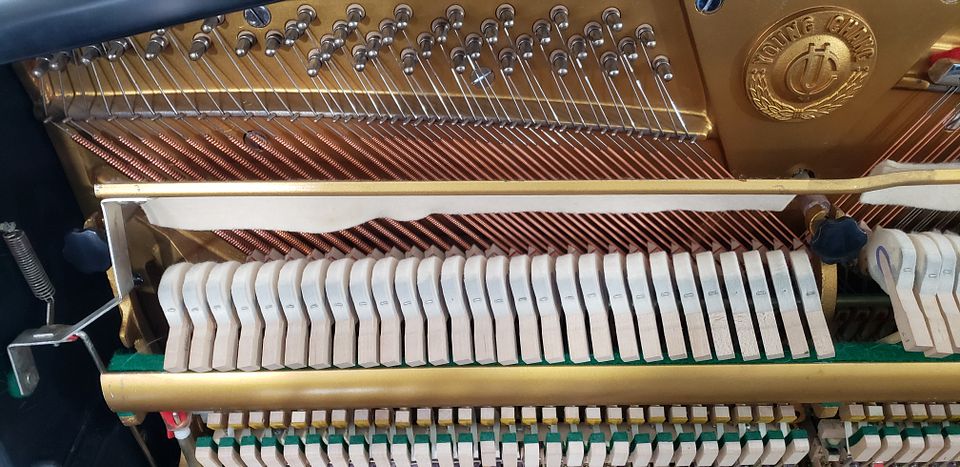 20221115_154921_aDcNQUq2b5XJVXx4e2ER5a