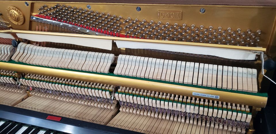 20221115_154925_fvmazxMcS2QoDfwqcSna56