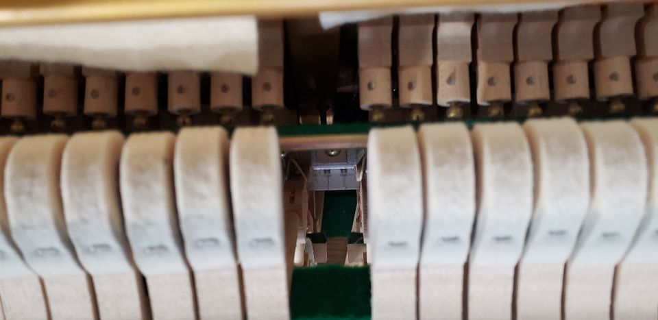 20221115_154932_8khD2Actd31TZCjUyK57GZ