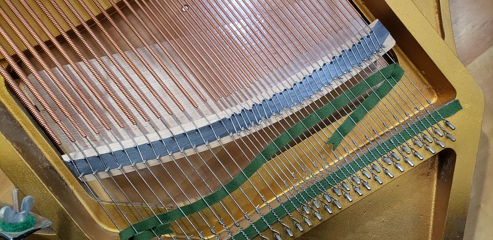 20221115_155100_4q9XQ3eewa3LBpJPMFHk2z