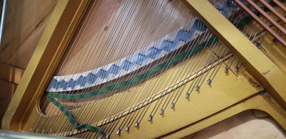 20221115_155109_qntkRjdHmsSmw17bPhFv1v