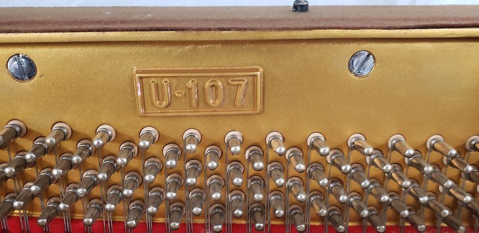 20221115_155241_6H4Mp63fKJ8a4cu4yzUUht