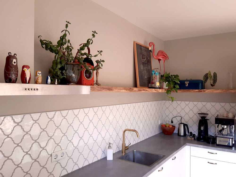 Kitchen_shelve_flamingo_plant