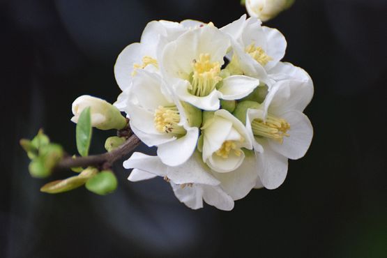 10th March (13)