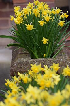 10th March (16)